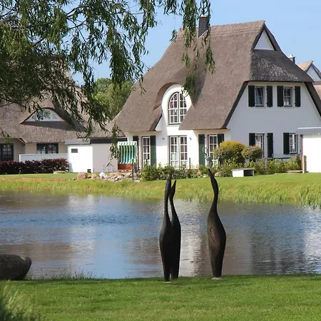 Schilfrohrsaenger 21-teichperle- Hébergement de vacances