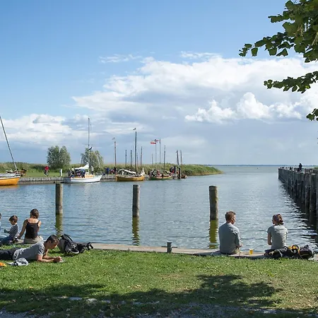 Schilfrohrsänger 21-teichperle- * Fuhlendorf (Mecklenburg-Vorpommern)