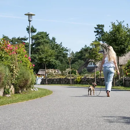 Schilfrohrsänger 21-teichperle- Fuhlendorf (Mecklenburg-Vorpommern)